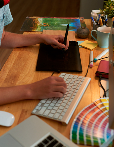 desarollos web mexico