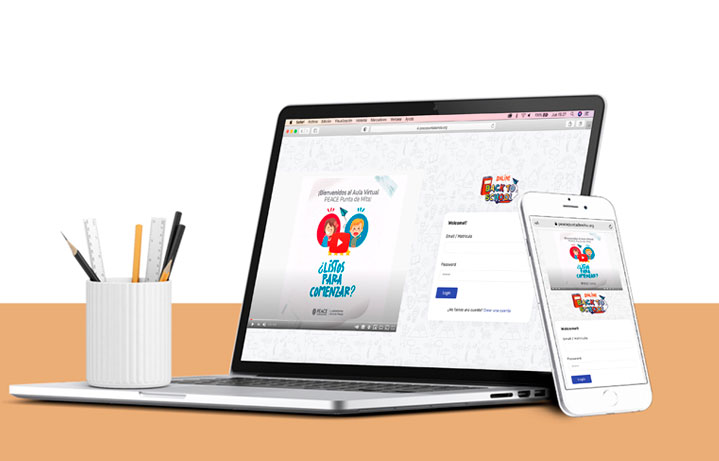 fundacion diseño web desarrollo web pingital