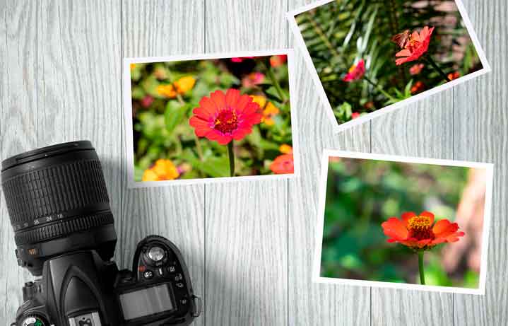 fotografia mexico pingital